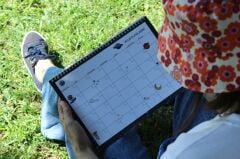 UZAY AYLIK PLANLAYICI